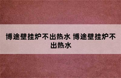 博途壁挂炉不出热水 博途壁挂炉不出热水